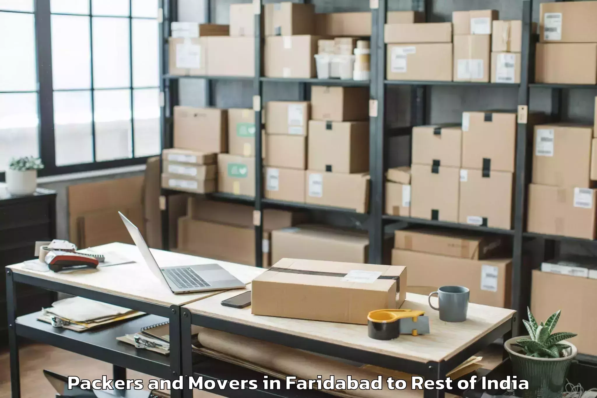 Professional Faridabad to Bellaguntha Packers And Movers